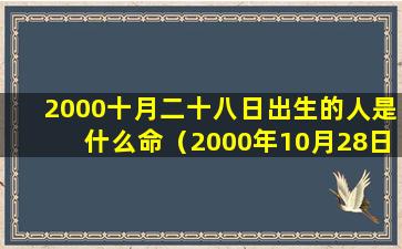 2000十月二十八日出生的人是什么命（2000年10月28日农历生日 🦢 是多少）